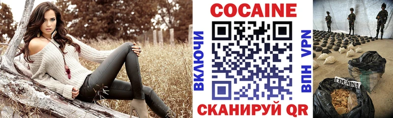 COCAIN Fish Scale  магазин продажи наркотиков  Анива 