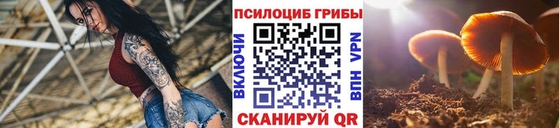 Псилоцибиновые грибы MAGIC MUSHROOMS  наркотики  Анива 